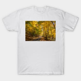 North Shore Drive in Moraine State Park of Pennsylvania T-Shirt